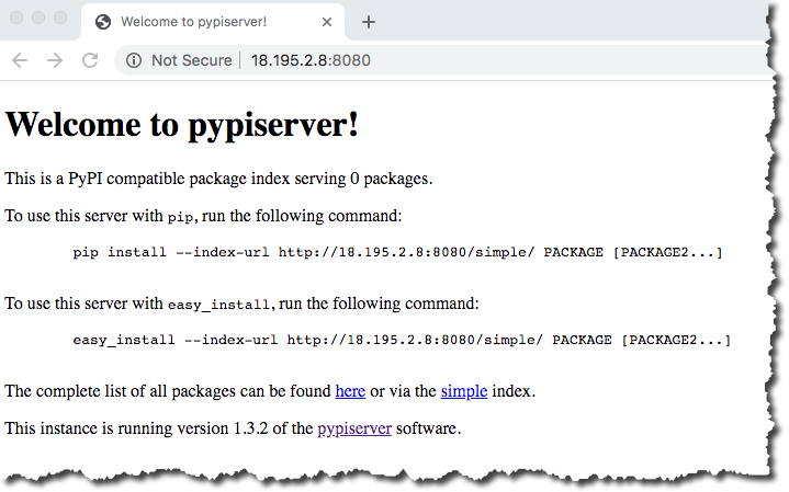 _images/pypi-server.png